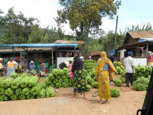 Day 1 - Banana Market